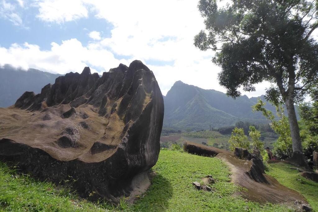 Raiatea, Opoa, Studio Du Fare Reve, Acces Mer Privatif Buitenkant foto