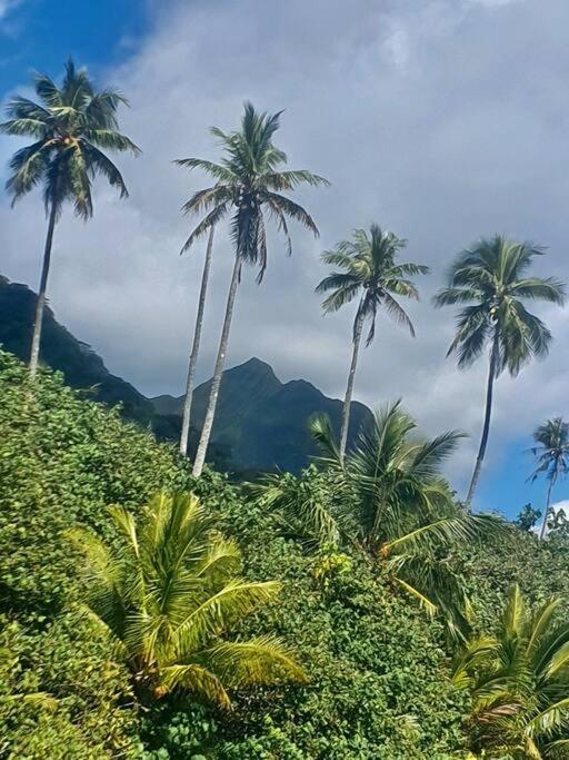 Raiatea, Opoa, Studio Du Fare Reve, Acces Mer Privatif Buitenkant foto